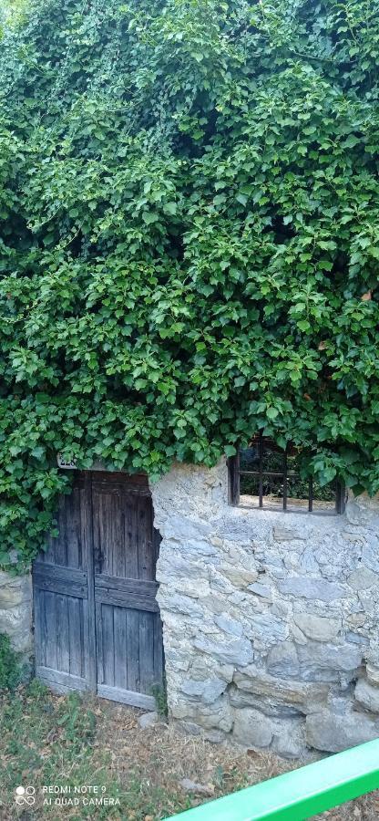 Agriturismo Vecchio Frantoio Villatella Exteriör bild